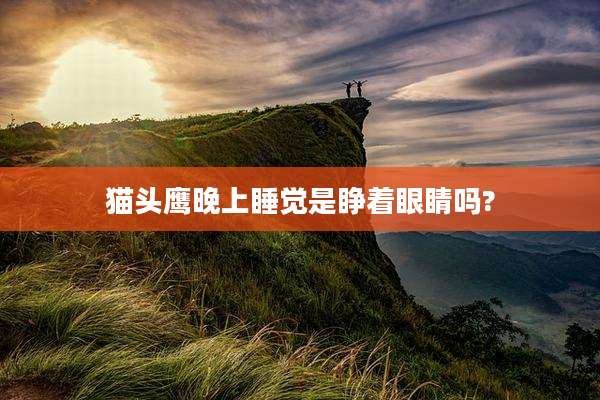 猫头鹰晚上睡觉是睁着眼睛吗?