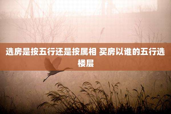 选房是按五行还是按属相 买房以谁的五行选楼层