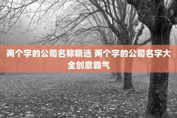 两个字的公司名称精选 两个字的公司名字大全创意霸气