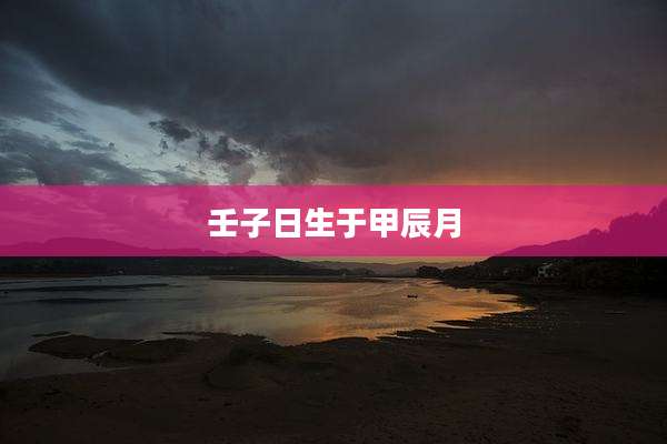 壬子日生于甲辰月