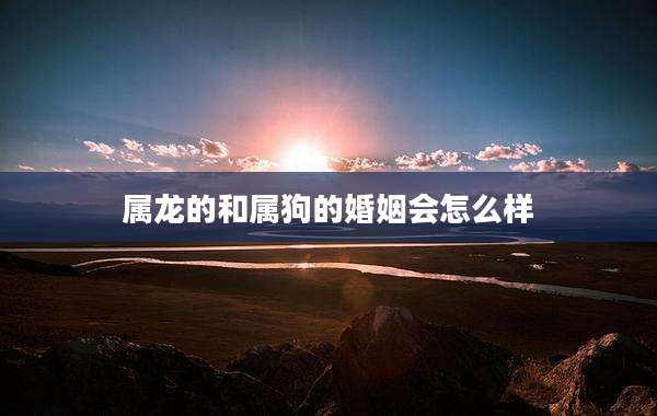 属龙的和属狗的婚姻会怎么样