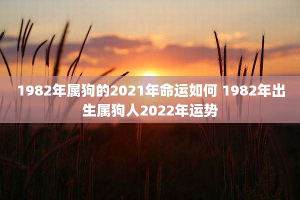 1982年属狗的2021年命运如何 1982年出生属狗人2022年运势