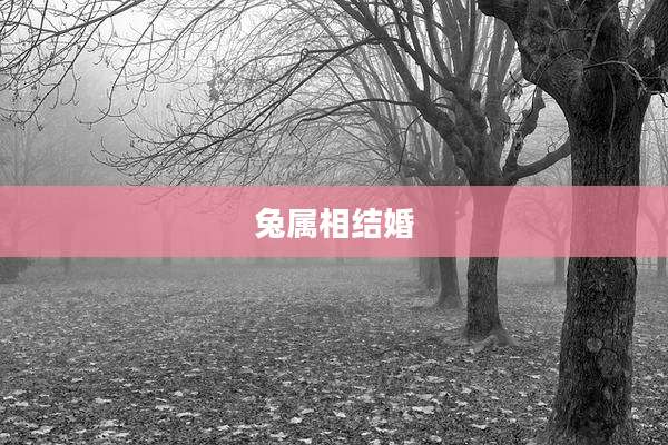 兔属相结婚