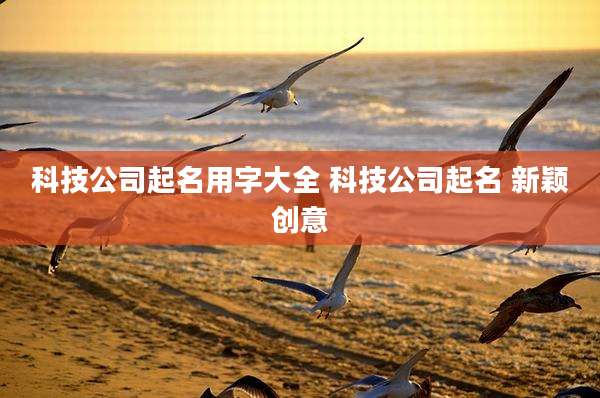 科技公司起名用字大全 科技公司起名 新颖创意