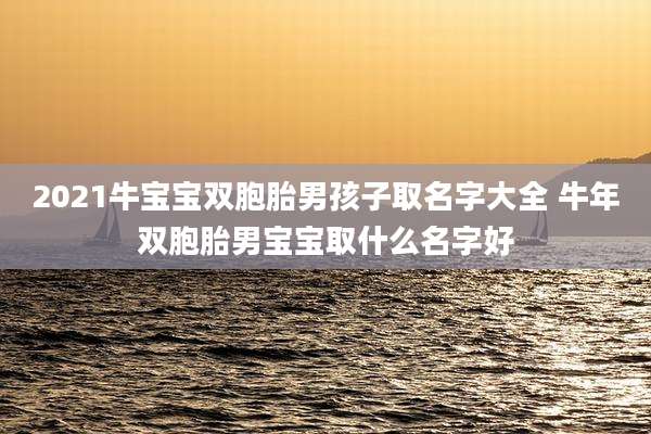 2021牛宝宝双胞胎男孩子取名字大全 牛年双胞胎男宝宝取什么名字好