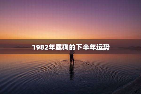 1982年属狗的下半年运势