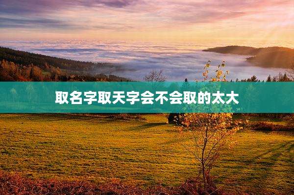 取名字取天字会不会取的太大
