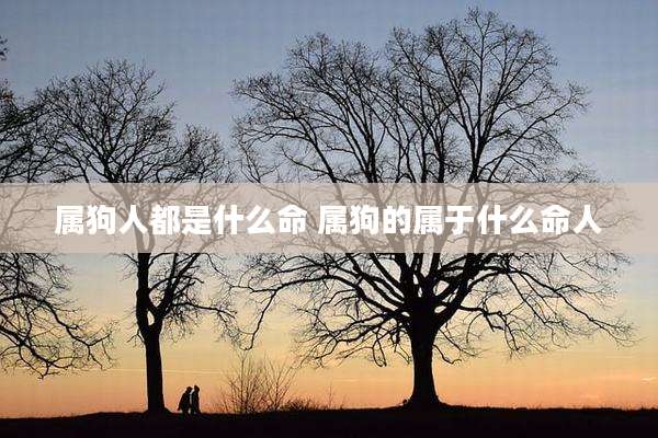 属狗人都是什么命 属狗的属于什么命人