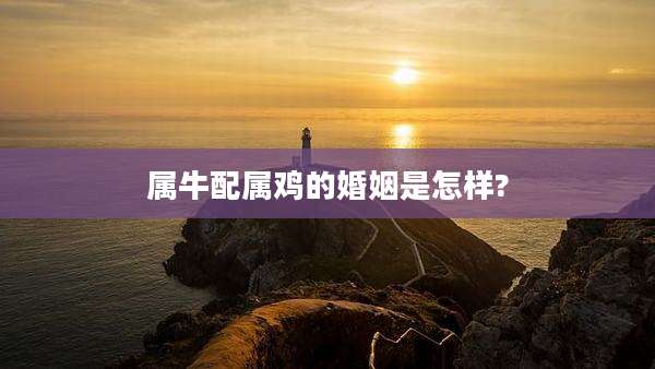 属牛配属鸡的婚姻是怎样?