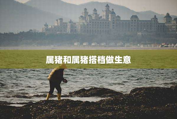 属猪和属猪搭档做生意