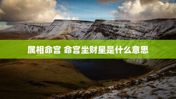 属相命宫 命宫坐财星是什么意思