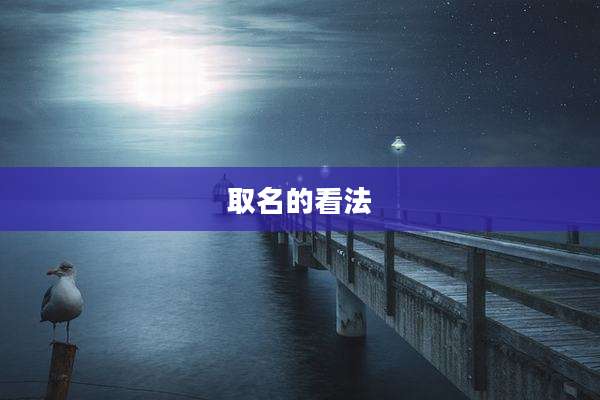 取名的看法