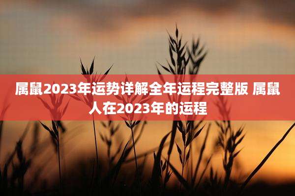 属鼠2023年运势详解全年运程完整版 属鼠人在2023年的运程
