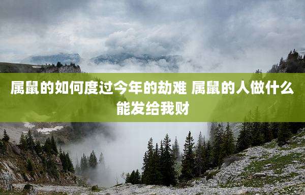 属鼠的如何度过今年的劫难 属鼠的人做什么能发给我财