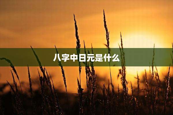 八字中日元是什么