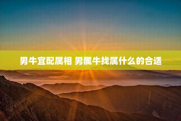男牛宜配属相 男属牛找属什么的合适