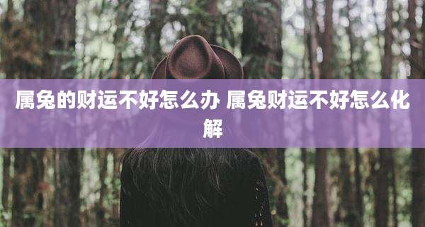 属兔的财运不好怎么办 属兔财运不好怎么化解