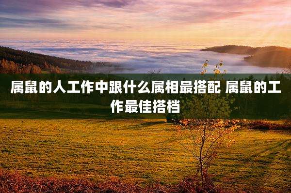 属鼠的人工作中跟什么属相最搭配 属鼠的工作最佳搭档