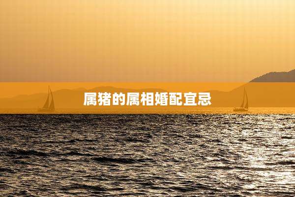 属猪的属相婚配宜忌
