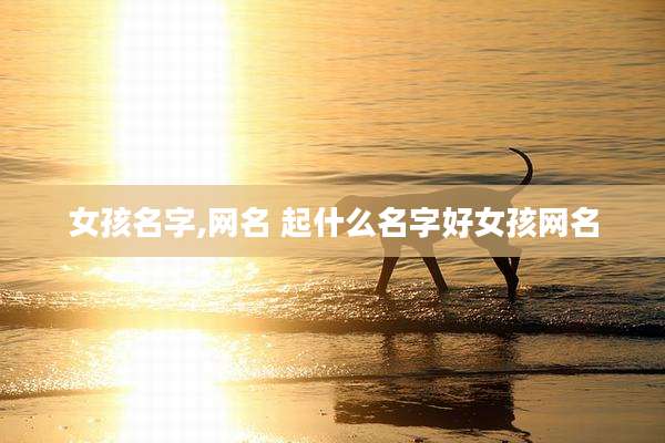 女孩名字,网名 起什么名字好女孩网名
