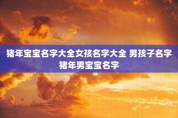 猪年宝宝名字大全女孩名字大全 男孩子名字猪年男宝宝名字
