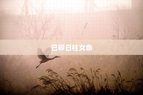 已卯日柱女命