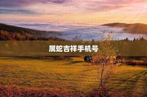属蛇吉祥手机号