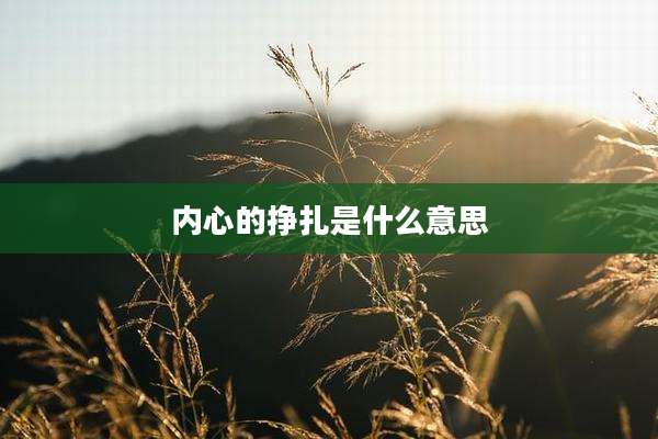 内心的挣扎是什么意思