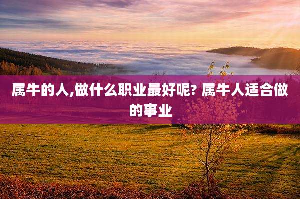 属牛的人,做什么职业最好呢? 属牛人适合做的事业