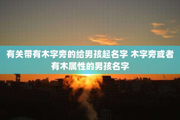 有关带有木字旁的给男孩起名字 木字旁或者有木属性的男孩名字