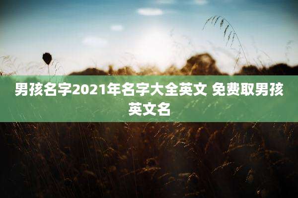 男孩名字2021年名字大全英文 免费取男孩英文名