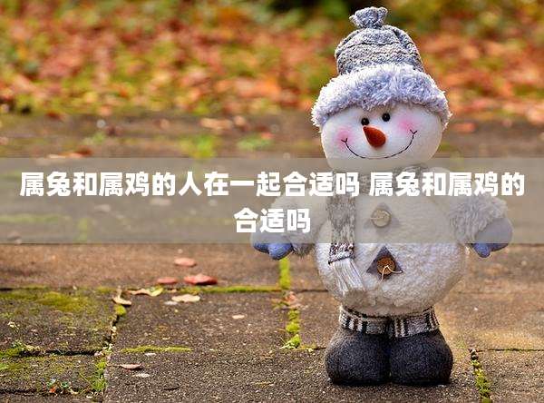 属兔和属鸡的人在一起合适吗 属兔和属鸡的合适吗