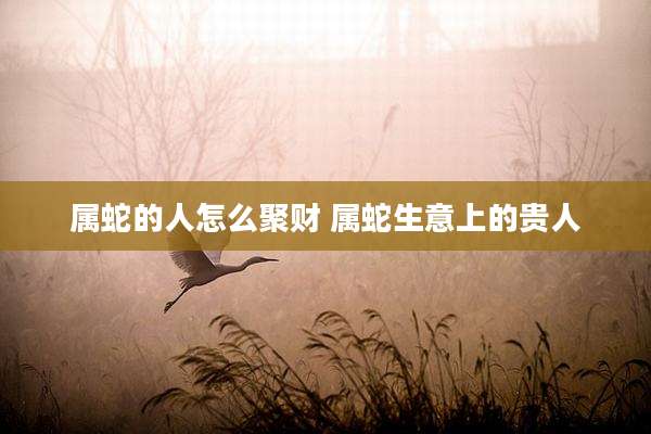 属蛇的人怎么聚财 属蛇生意上的贵人