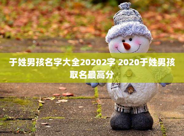 于姓男孩名字大全20202字 2020于姓男孩取名最高分