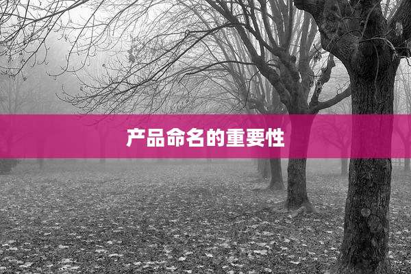 产品命名的重要性