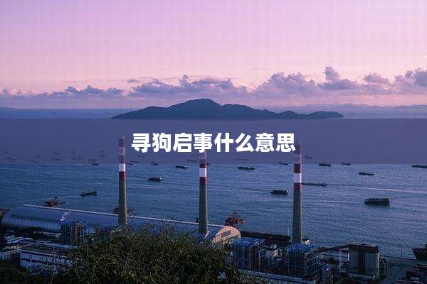 寻狗启事什么意思