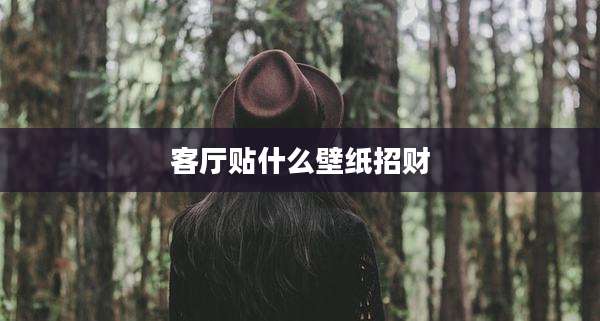 客厅贴什么壁纸招财