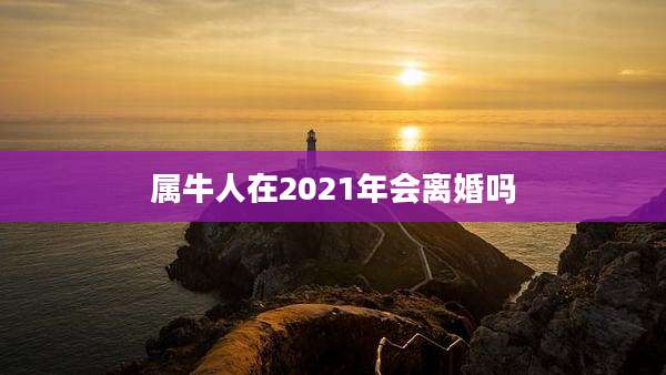 属牛人在2021年会离婚吗