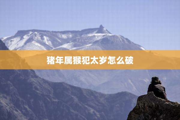 猪年属猴犯太岁怎么破