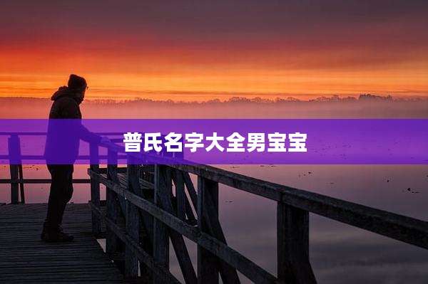普氏名字大全男宝宝