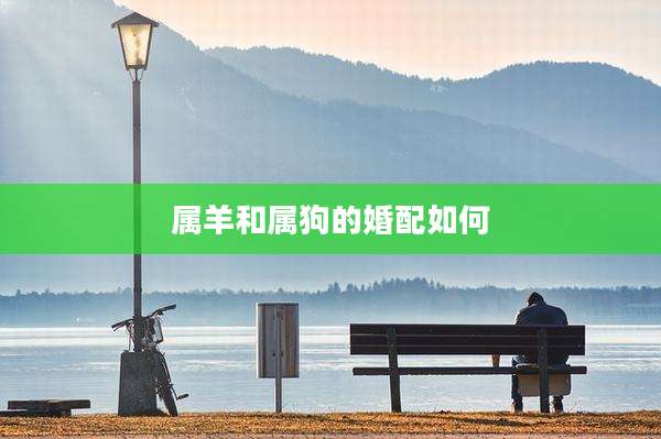 属羊和属狗的婚配如何