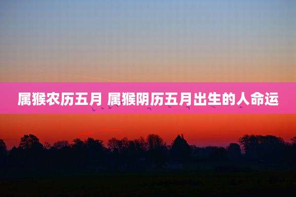 属猴农历五月 属猴阴历五月出生的人命运