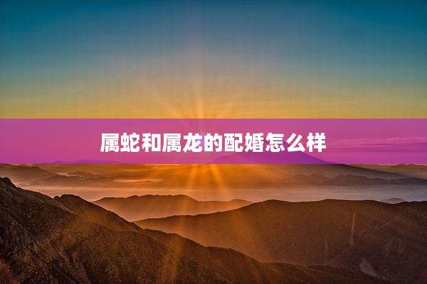 属蛇和属龙的配婚怎么样