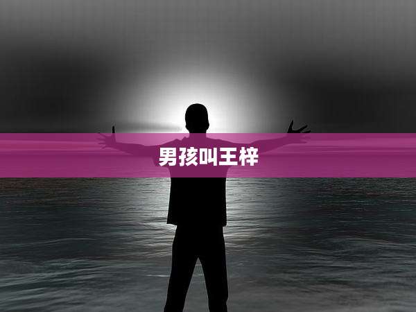 男孩叫王梓