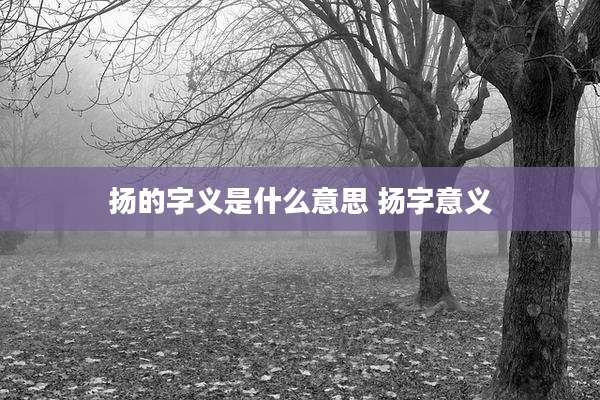 扬的字义是什么意思 扬字意义