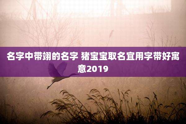 名字中带翊的名字 猪宝宝取名宜用字带好寓意2019