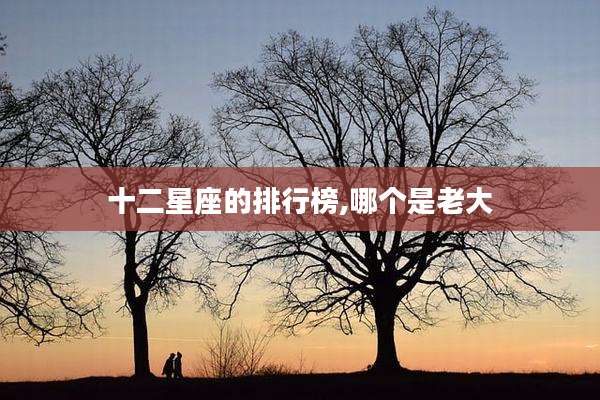 十二星座的排行榜,哪个是老大
