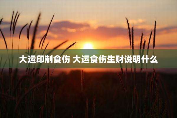 大运印制食伤 大运食伤生财说明什么