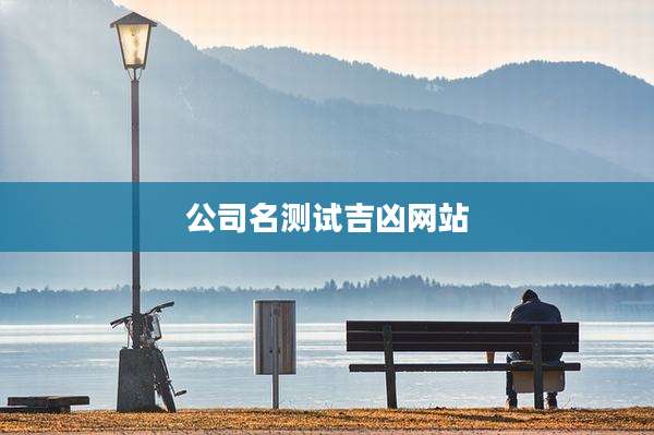 公司名测试吉凶网站