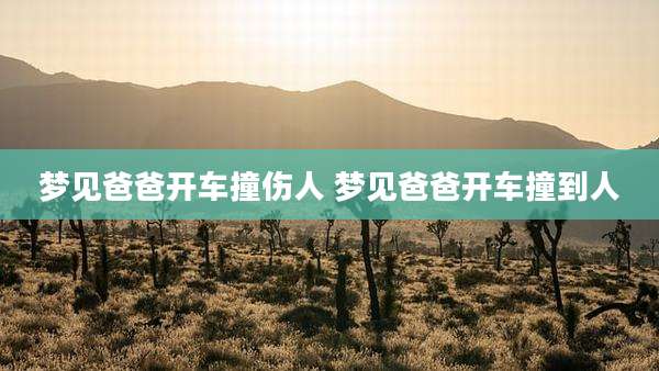 梦见爸爸开车撞伤人 梦见爸爸开车撞到人